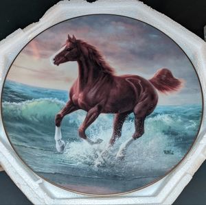 Unbridled Spirit Plate Collection Surf Dancer by Chuck DeHaan w/COA
